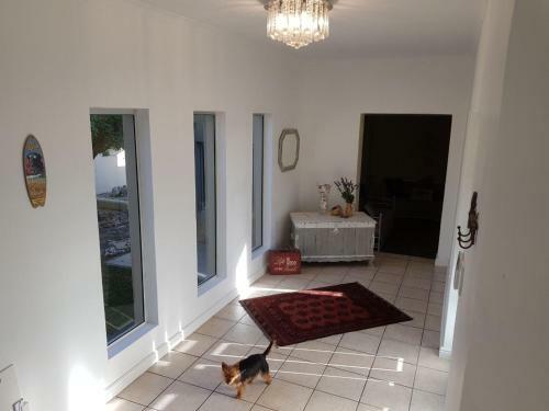 Hermanus , Sandbaai Holiday House