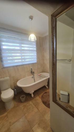 Hostal Belle Vue Pop-up Garage Room