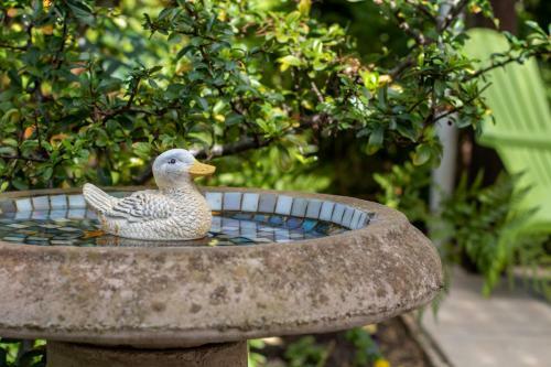 Birdsong