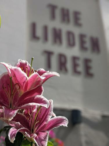 Bed & Breakfast Linden Tree