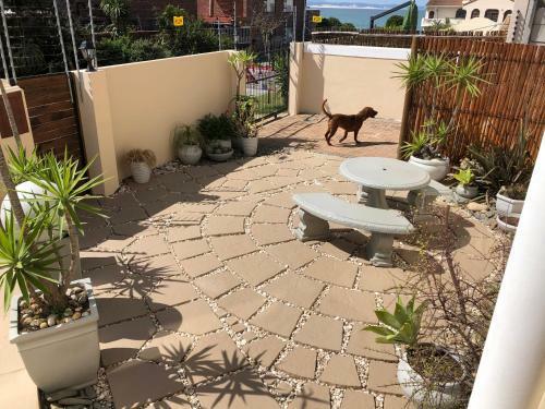 'on Point' Spacious Beach House - Jeffreys Bay