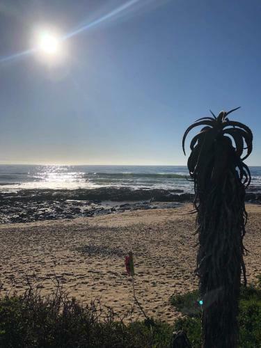 'on Point' Spacious Beach House - Jeffreys Bay