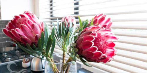 Jeffreys Bay Luxury Apartments