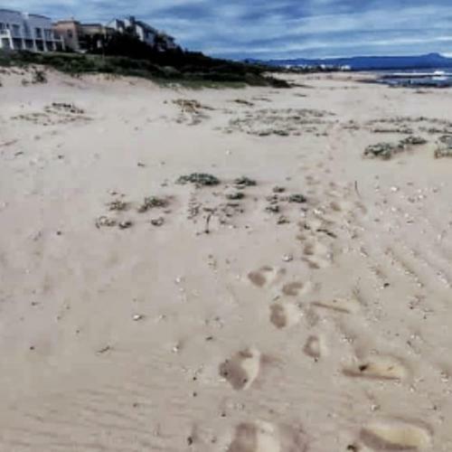 Apartamento Sunset Sands