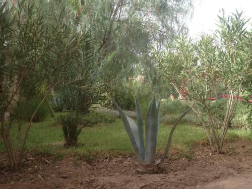 Bed & Breakfast Dar Lorkam