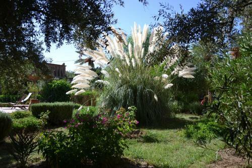 Bed & Breakfast Dar Lorkam