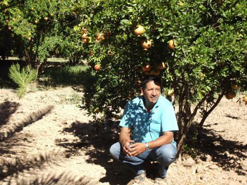 Bed & Breakfast Le Jardin Des Grenadiers