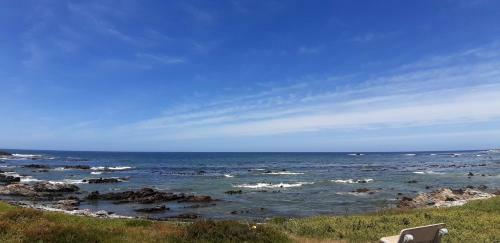 Shark Cove House