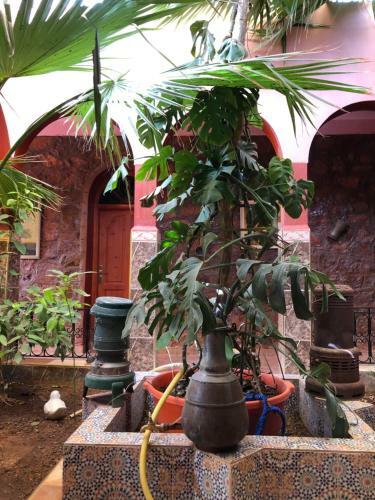 Villa Siliya Maga
