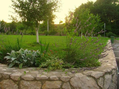 Hostal House Sekulic