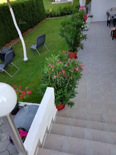 Hostal House Osana