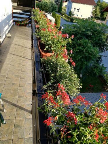 Hostal House Osana