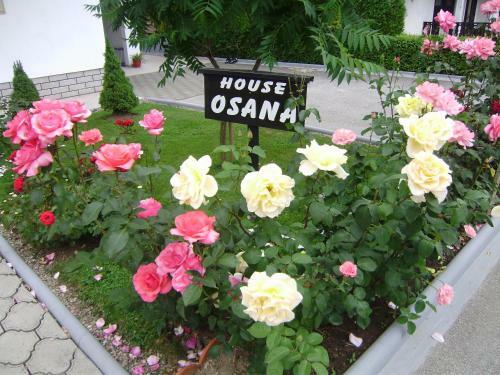 Hostal House Osana
