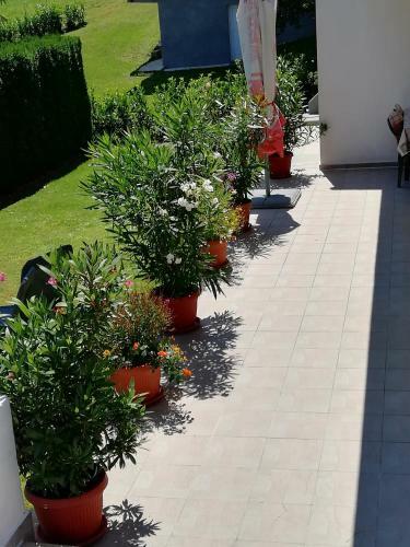 Hostal House Osana