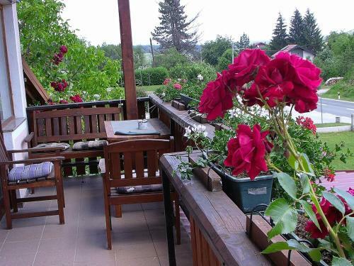 Apartments Kristic
