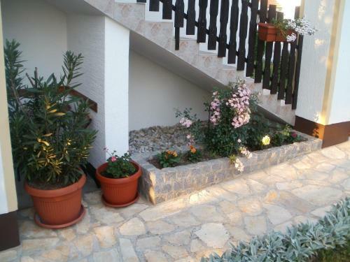 Hostal House Pavlic