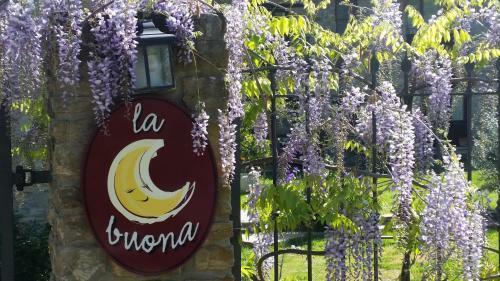 Apartamento La Luna Buona
