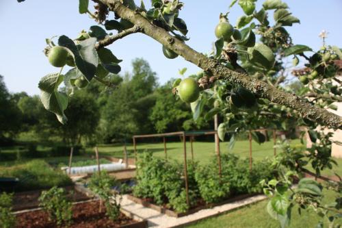 Bed & Breakfast Les Picardies