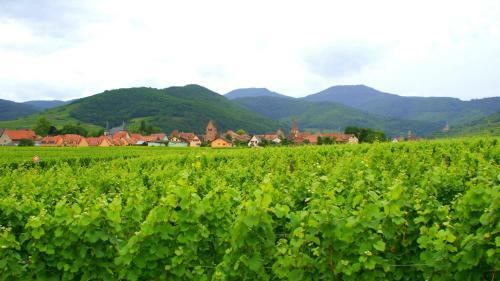 Bed & Breakfast Chambre D'hotes Le Vogelgarten