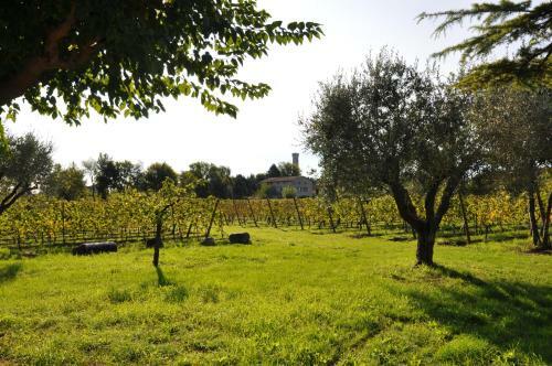 Agroturismo Azienda Agrituristica Armea