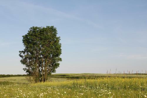 Agroturystyka Lipscy