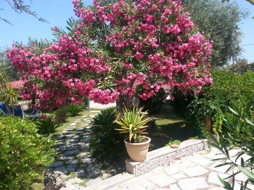Bed & Breakfast Antico Casolare Sorso-casa Vacanze