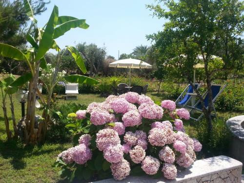 Bed & Breakfast Antico Casolare Sorso-casa Vacanze