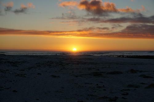 Aloha Kommetjie