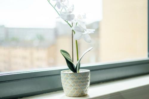 Charming Westend/city Centre Apartment