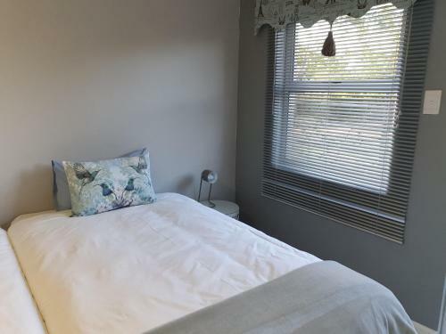 Hostal Berry Lane Guesthouse