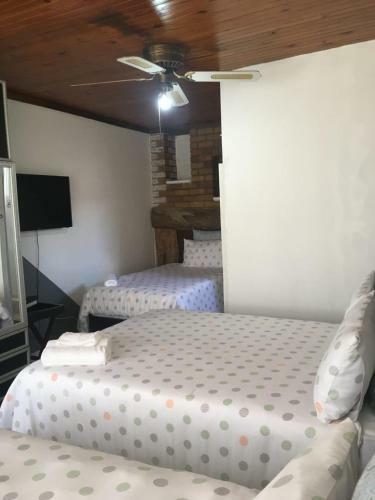 Patzerella's Cozy Nest
