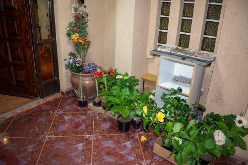 Hostal Lenasia Guest Lodge