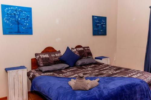 Hostal Silver Swan Accommodation