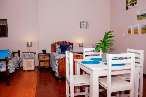 Hostal Silver Swan Accommodation