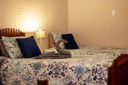 Hostal Silver Swan Accommodation
