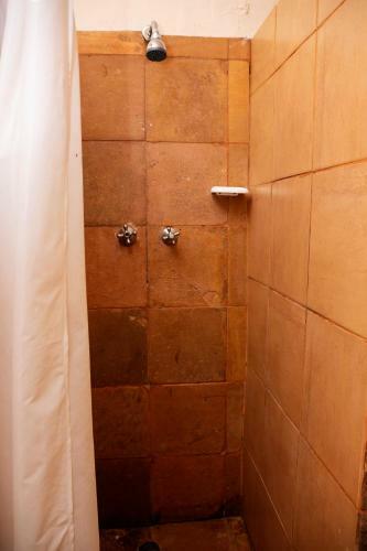 Hostal Silver Swan Accommodation