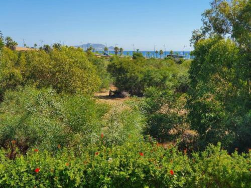 La Vida Villa Alcudia Smir Holiday Homes