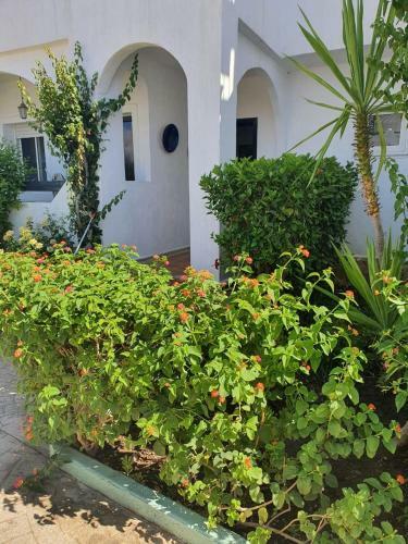 La Vida Villa Alcudia Smir Holiday Homes