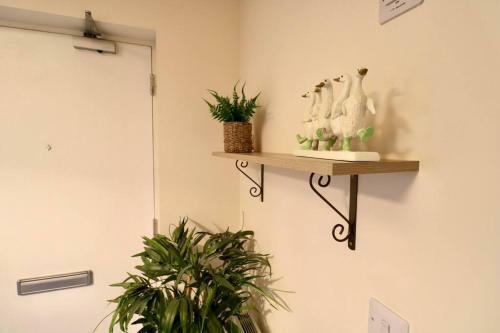 Lovely 2 Bedroom Apartment Overlooking River Clyde