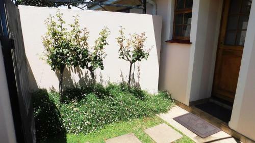 Hostal Dankhof Guest House