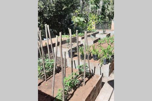 Apartamento Kruger Southern Cross