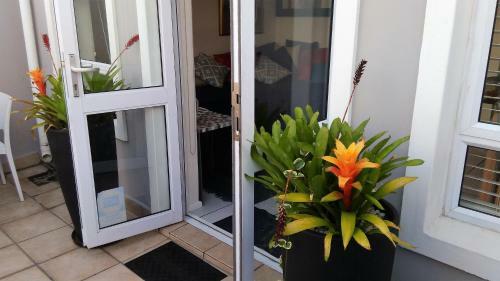 Apartamento Knysna Oyster