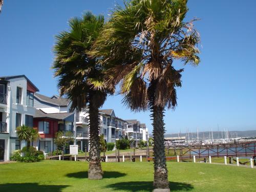 Apartamento Laguna Grove 14