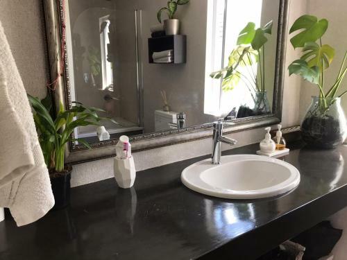 Knysna Budget Friendly Stay
