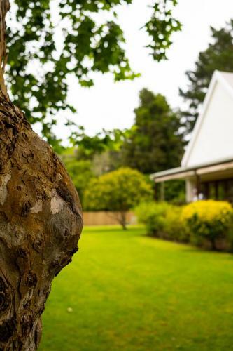 Bed & Breakfast Bwhale Guest House
