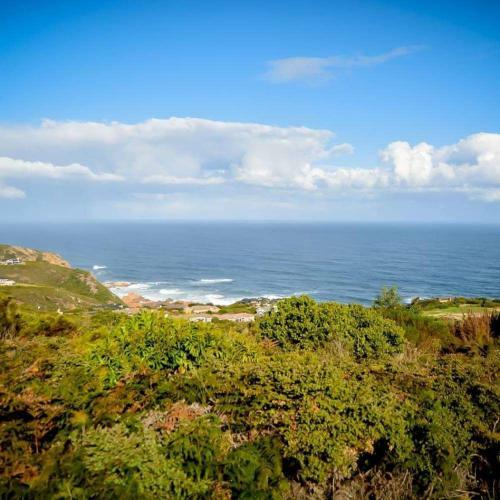 Ocean View - The House