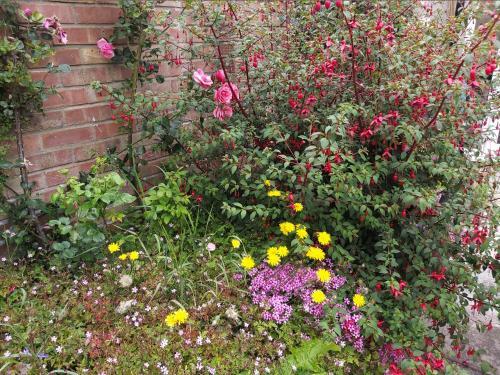 Gorgeous Gorleston Holiday Home