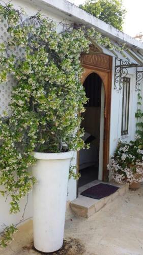 Riad Slama