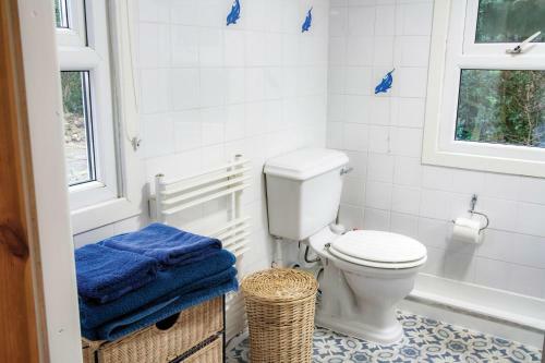 Merlins Cabin - 2 Bedroom Cabin - Blaen Cedi Farm - Penclawdd