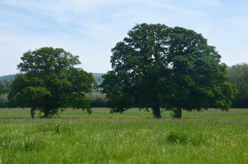 Apartamento The Hideaway-south Downs National Park